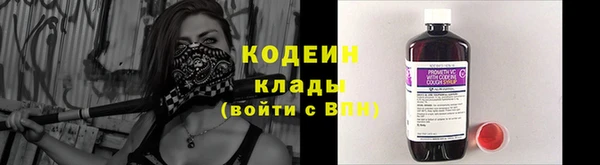 гашик Няндома