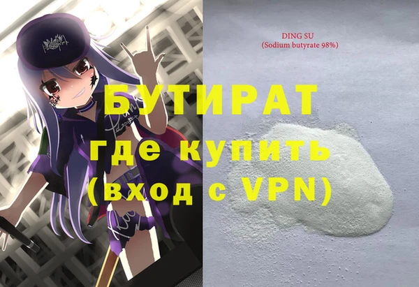 гашик Няндома