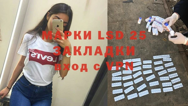 гашик Няндома