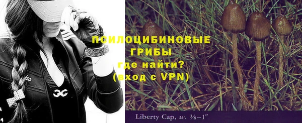 гашик Няндома