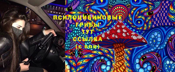гашик Няндома