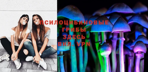сатива Нязепетровск