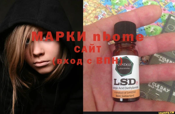 гашик Няндома