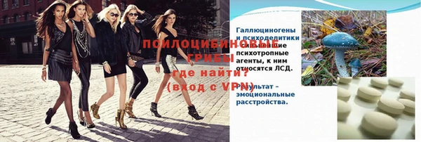 дмт Нягань