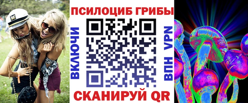 Псилоцибиновые грибы Psilocybe  продажа наркотиков  Райчихинск 